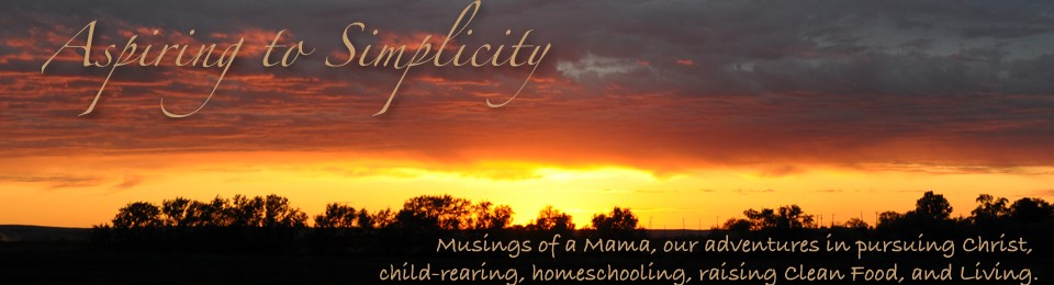 Aspiring to Simplicity